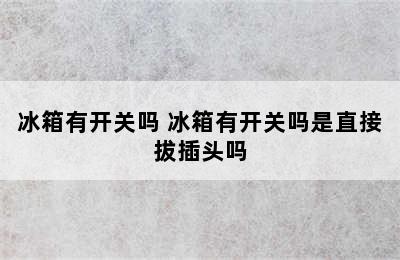 冰箱有开关吗 冰箱有开关吗是直接拔插头吗